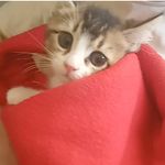 kayra_deros77 - @kayra_deros77 - Instagram