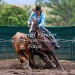 Kay Radke - @radkekay - Instagram
