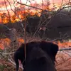 kaydenramsay927 - @kaydenramsay927 - TikTok