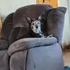 Christina Kay Randall-Strauss - @christina.kay.ran - TikTok