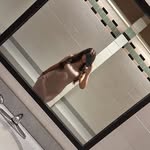 Kay Rawlings - @rawlings.amber - Instagram
