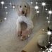 Kay Rayburn - Facebook