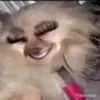 Kay Red 🧚‍♀️ - @kaylakellyy01 - TikTok