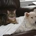 Kay Redmon - Facebook