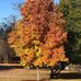 Kay Reimer - Facebook