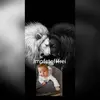 Kai Resch - @kairesch - TikTok