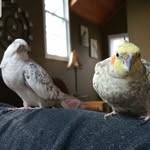 Kay Rex - @kpartyof1 - Instagram