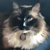 Kayrey - @kaylenreynolds - TikTok