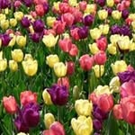 Kay Myers Richmond - @myersrichmond - Instagram
