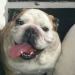 Kay Richmond - @equinelvr0317 - Instagram