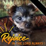 Kay Rivers - @krivers52 - Instagram