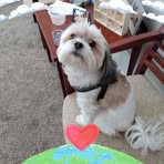 Kay Roark - Facebook