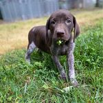 Kayla - @kay.roark - Instagram