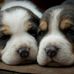 Kay Robert - Facebook