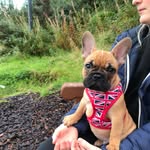 Kay cunningham - @kayrobynbillybear04 - Instagram