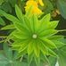 Kay Roche - Facebook
