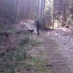 kay rock - @kayrockenstein - Instagram