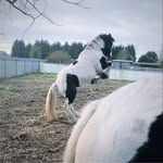 Kay Rogerson - @rogersonkay - Instagram