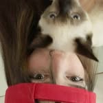 Caroline - @kay_rolineyey - Instagram