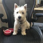 Kay Rossiter-Base - @rossiterbase - Instagram