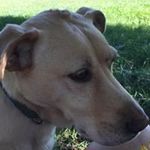 Mary Kay Rossiter - @marilynkrossiter - Instagram