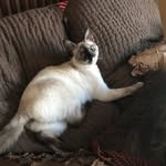 Kay Royer - @royerkay - Instagram