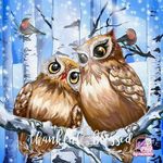 Kay Rubin - @yellowrose2209 - Instagram