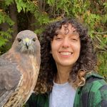 rubina 🦝🌈🐦‍⬛ - @rubina_kay - Instagram