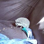Kay Rucker - @kayrucker - Instagram