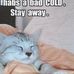 Kay Ruggles - Facebook