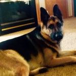Kay Runge - @kaydog1012 - Instagram