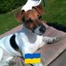 Kay Runge - Facebook