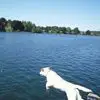Kay Russell - @kay.russell4 - TikTok