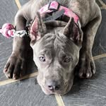 Kimberly Kay Rutledge - @oceantide.flipflops - Instagram
