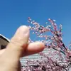 kay - @kaysabine - TikTok