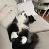 _kaylasalas - @_kaylasalas - TikTok