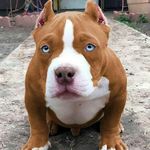 Kay Sampson - @vortex_kay - Instagram