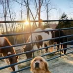 Kay Sanborn - Facebook