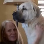 Kay Steele Sandler - @kay.sandler - Instagram