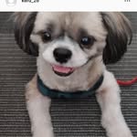Kay Saul - @kerd_26 - Instagram