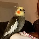 kay14 - @kay_sax_ - Instagram