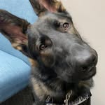 Kay Schaller - @schaller9588 - Instagram