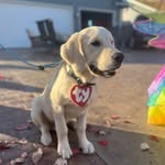 Jaimi Kay Schauer - @mondaythegolden - Instagram