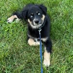 Kay Schauer Schumacher - @schum5 - Instagram