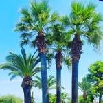 kay - @kayschellen5 - Instagram