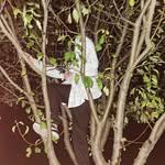 Kay - @kay.schmidt16 - Instagram