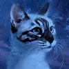 ★KAYSCHARMS★ - @kayschrms - TikTok