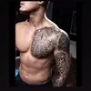 Kay_Schröder - @kay_schroder - TikTok