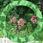 Kay Schulte - Facebook