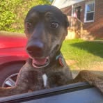 Kay Schwab - Facebook
